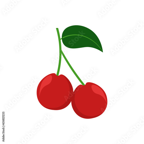 Fruit Vector Illustration