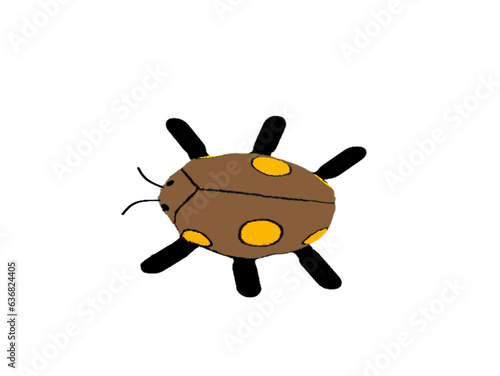 bug