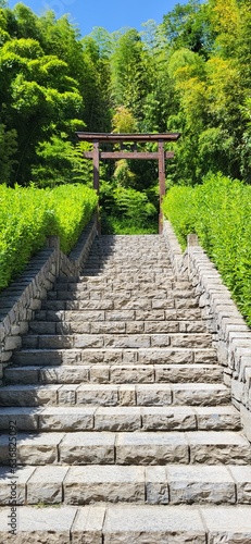 Canvas Print Stairway to Zen heaven