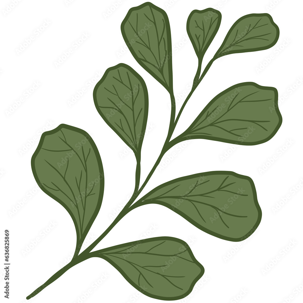 Obraz premium green leaves