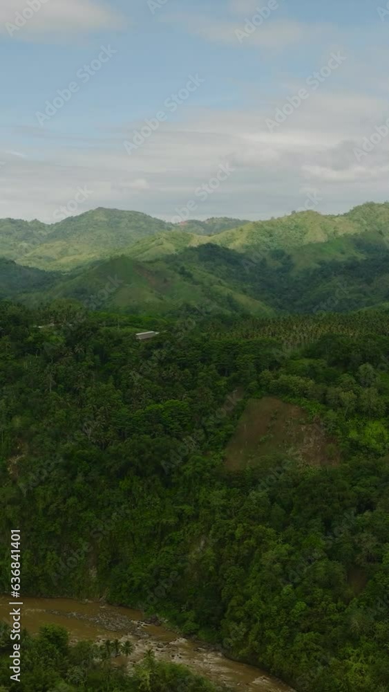 Tropical Mountain with rainforest and river in the Philippines. Mindanao. Vertical video. Tropical Mountain with rainforest and river in the Philippines. Mindanao. Vertical video.