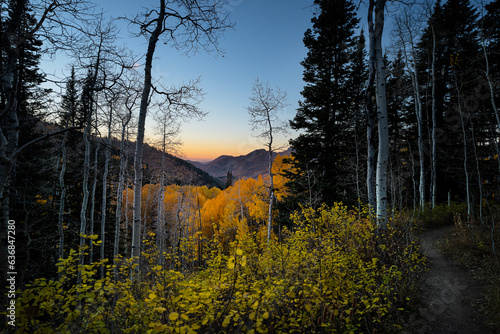 A Warm Fall Sunset