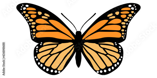 Big beautiful vector butterfly. Simple, orange elements on black wings. Isolated butterfly.