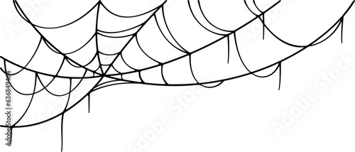 Spider Web Illustration