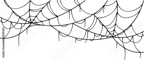 Spider Web Illustration