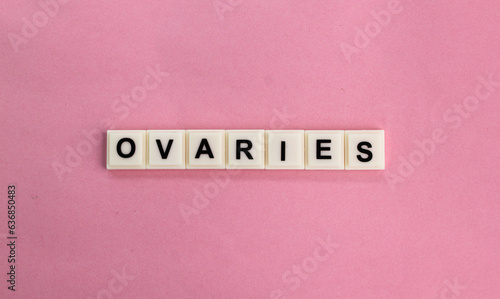 letters of the alphabet with the word ovaries. concept of female internal organs photo