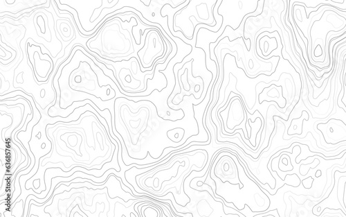 Abstract Topographic Contour Line Pattern in Black and White