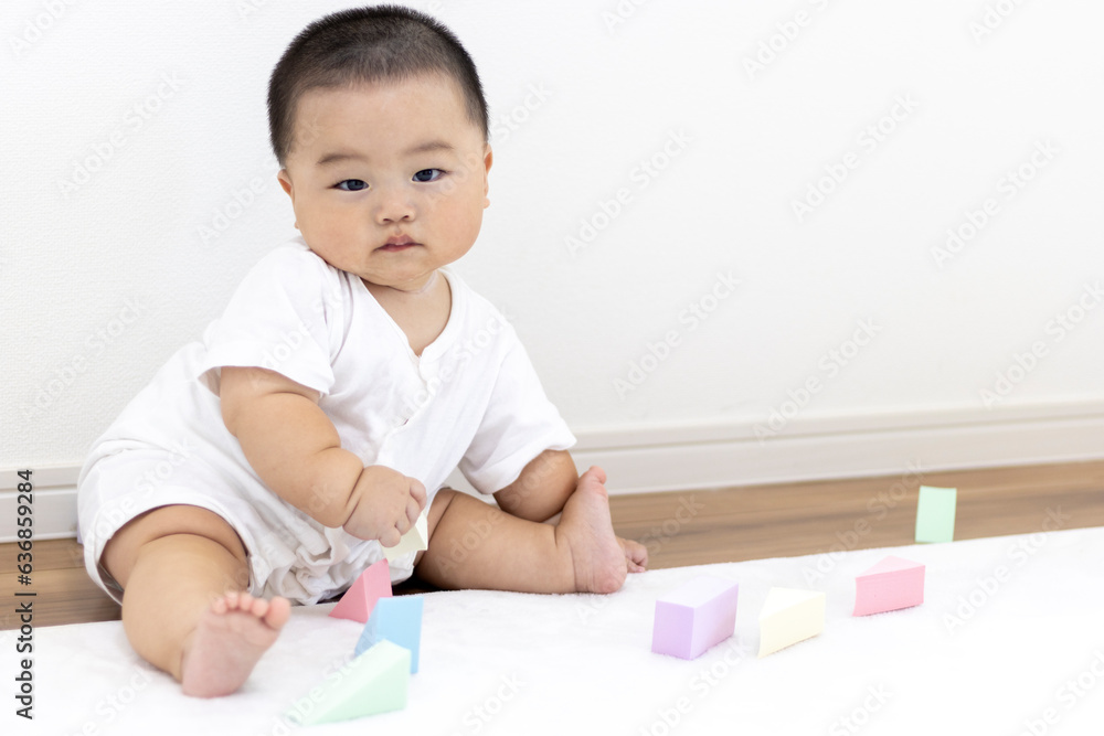 玩具のブロックで遊ぶ赤ちゃん（男の子、日本人、0歳、生後8か月）