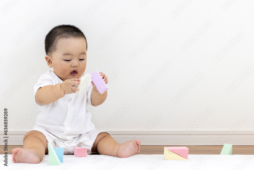 玩具のブロックで遊ぶ赤ちゃん(男の子、日本人、0歳、生後8か月) 玩具のブロックで遊ぶ赤ちゃん(男の子、日本人、0歳、生後8か月)