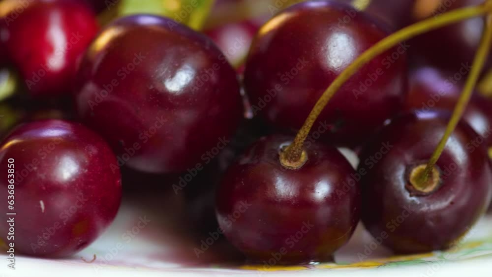 close-up fresh plucked ripe cherries with twigs rotate in a plate.cooking dishes from cherries. cherry berries macro. close-up fresh plucked ripe cherries with twigs rotate in a plate.cooking dishes from cherries. cherry berries macro.