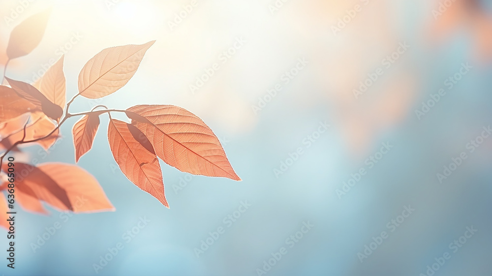 falling autumn leaves and branches nature in light translucent soft color pastel tinting on a sunny day
