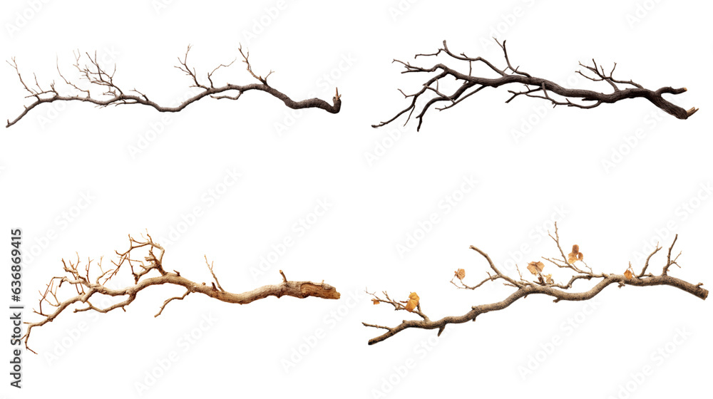 Fototapeta premium A single branch Generative AI