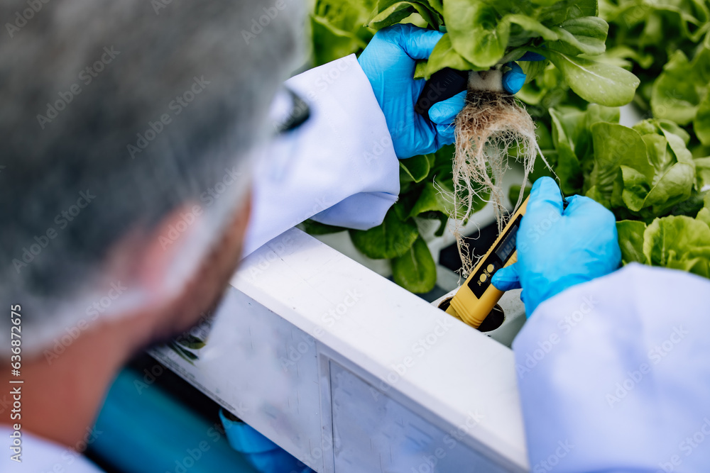 Hydroponic scientist uses pH meter for quality control, ensuring