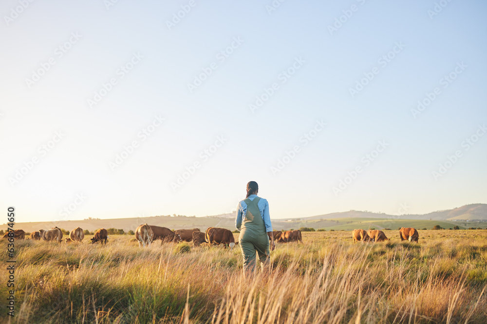 Woman, farmer and walking in countryside, blue sky and grass field with cow and cattle. Female person, back and agriculture outdoor with animals and livestock for farming in nature with mockup space