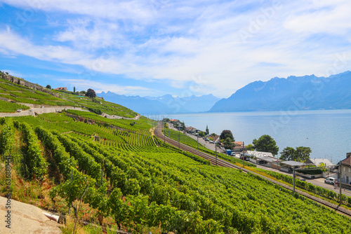 View of the famous Lavaux terraced vineyards, lake Geneva and the Alps in canton Vaud, Switzerland