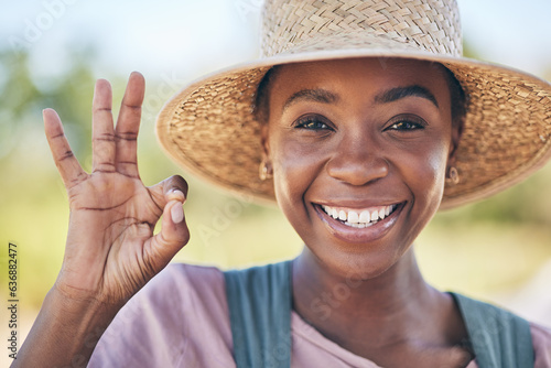 Smile, okay hand sign and portrait of black woman on farm with sustainable business, nature and sun. Agriculture, happy face and female farmer in Africa, green plants and yes emoji to agro farming
