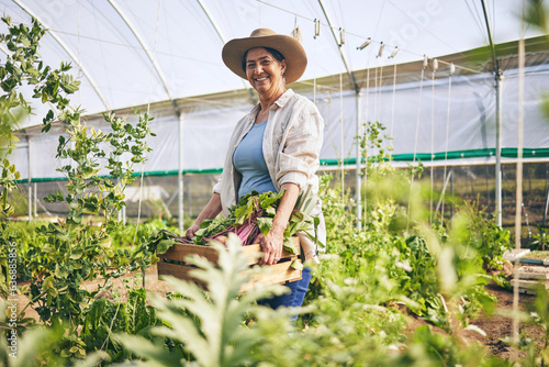 Fotografia Smile, greenhouse and mature woman on farm with sustainable business, nature and sunshine
