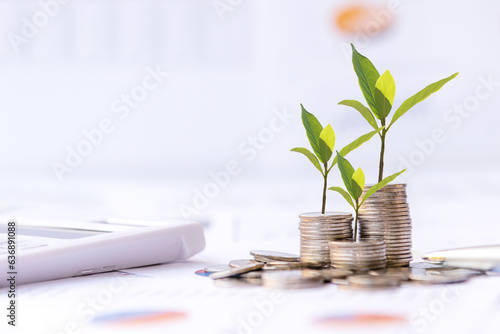 The tree  growing on money coin stack for investment,  business newspaper with financial report on desk of investor real estate business, city background.  Investment property growth Concept