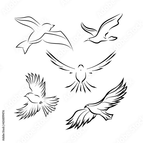 A set of different birds. Black lines, sketch. Vector