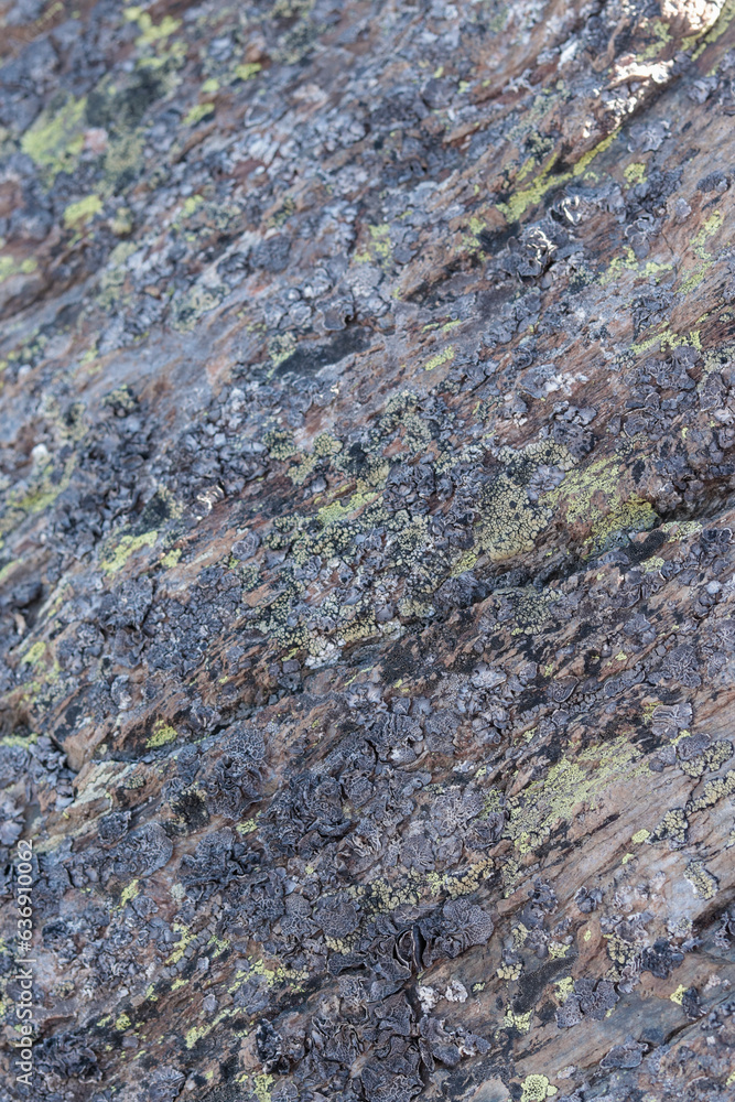 Textura de roca