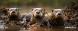 Enchanting group of otters joyously sliding down a muddy hill into a sun-kissed, crystal clear river. A celebration of unadulterated happiness and nature's playfulness.