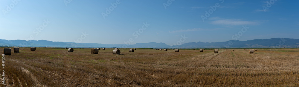 Wide angle panoramic view , huge hay bales on agricultural field at late summer in Romania.