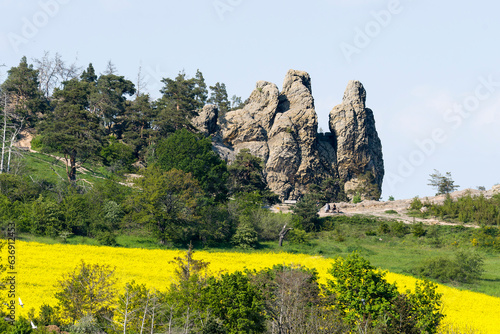 Teufelsmauer ( Harz ) mit Hamburger Wappen bei Timmenrode photo