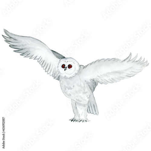 Watercolour - vector 6. Hand drawn bird owl-3.