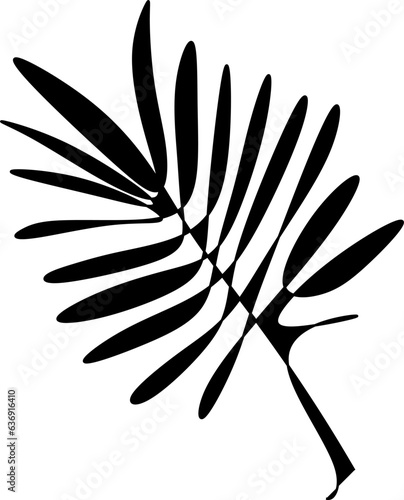 The illustrations and clipart silhouette of a leaf isolated on white
