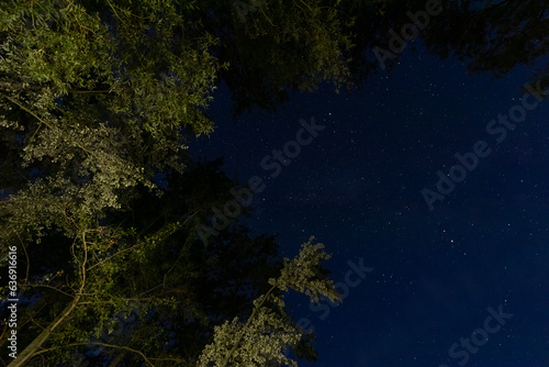 Fototapeta Naklejka Na Ścianę i Meble -  astro photography starry sky studded with stars, trees with green foliage