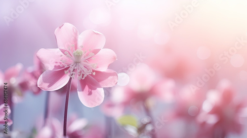 Wallpaper Mural Helleborus flowers in the snow. Generative AI. Torontodigital.ca