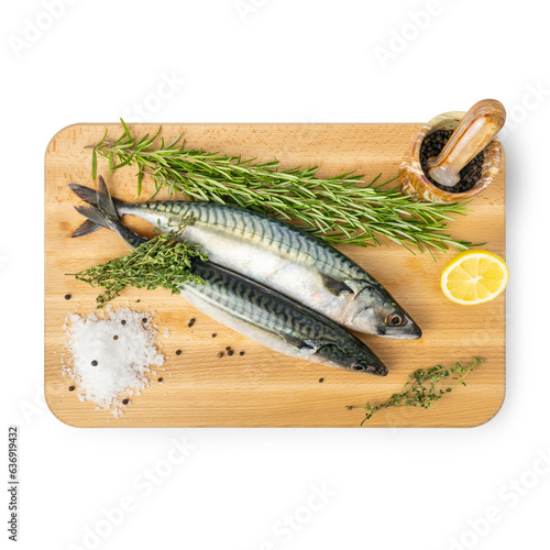 Atlantic mackerel with rosemary on board, Scomber scombrus photo