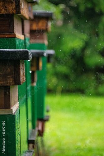 bees geting to their hives