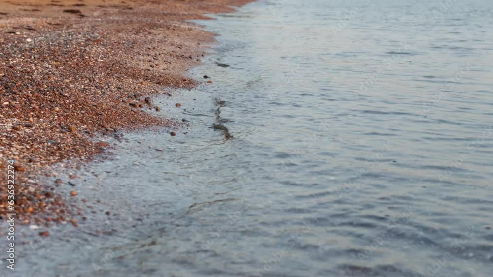 Waves washing on sea sand and rocks. Black sea. 
