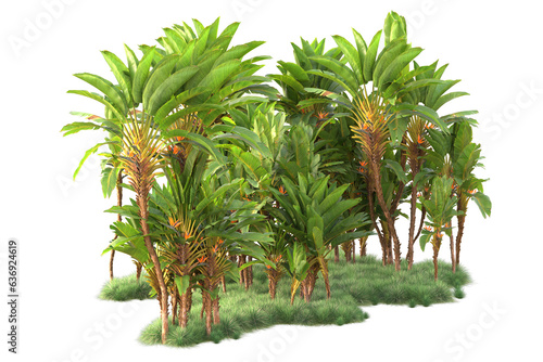 Green landscape isolated on transparent background. 3d rendering - illustration