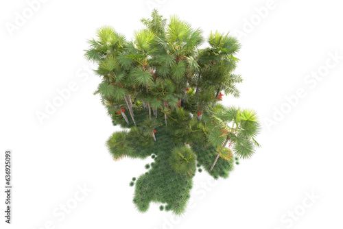 Green landscape isolated on transparent background. 3d rendering - illustration