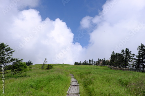 Wallpaper Mural 美ヶ原高原のハイキング道 Torontodigital.ca