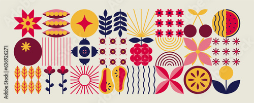 Abstract geometric fruits pattern. Natural organic flower food shapes, modern brand identity package design. Vector background