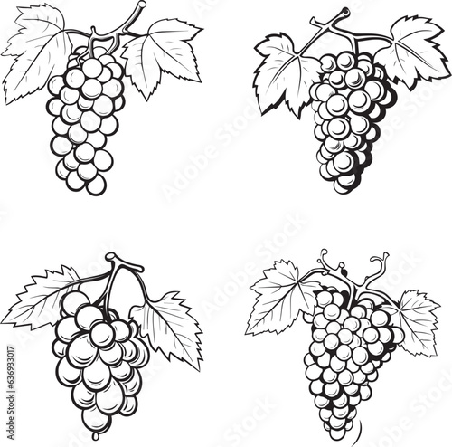 grapes vine vector black artistic illustrations pack