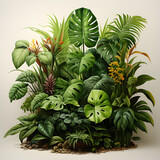 Tropical plants in a pot on a beige background