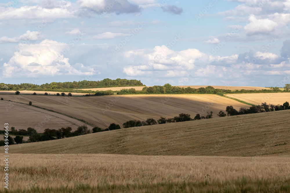 Farm fields in the English Countryside