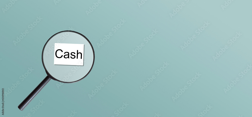 Dollar icon and magnifying glass. Symbol of the search for financial resources Dollar icon and magnifying glass. Symbol of the search for financial resources