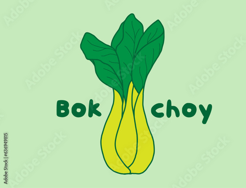 Illustration of a chinese cabbage or bok choy / pak choi vegetable