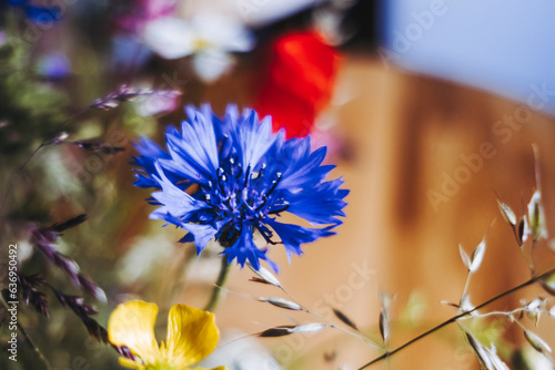 Bouquet de fleurs colorées champêtres cueillies en campagne en décoration à la maison