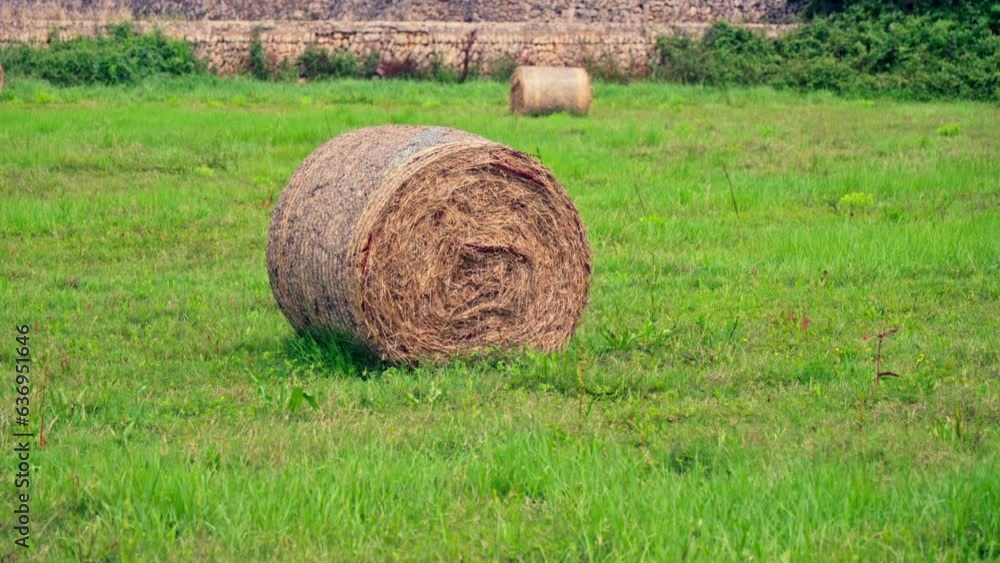Beautiful green field with haystacks Beautiful green field with haystacks