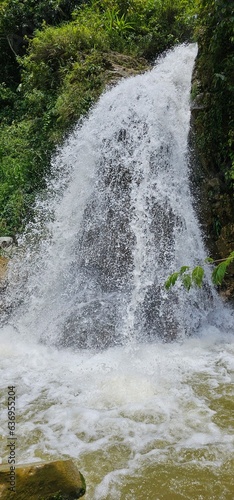 waterfall in the forest