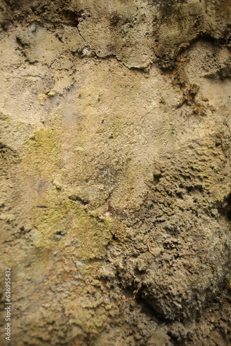 stone wall texture