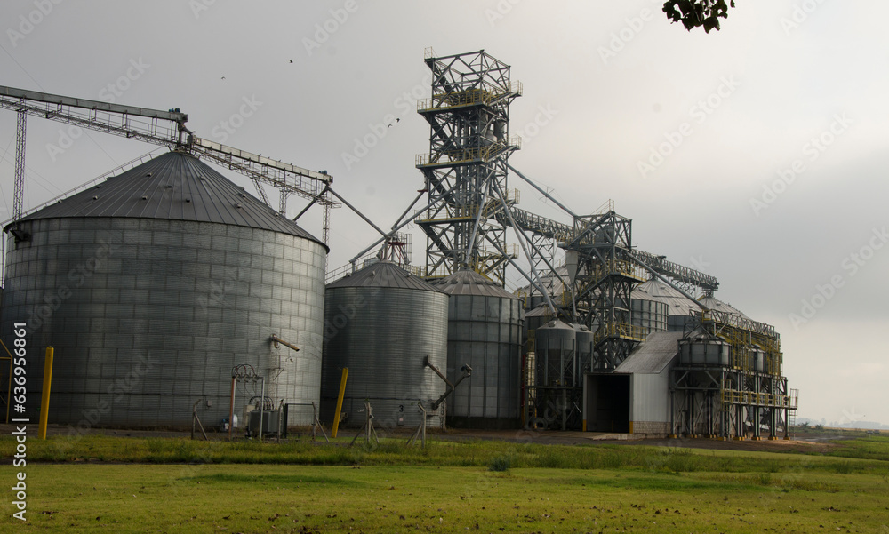 dtina silos, and grains in a field. agro-export industry
