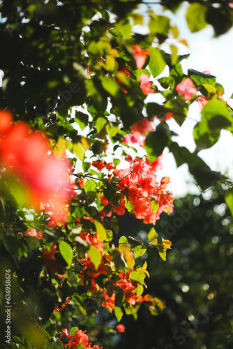summer 