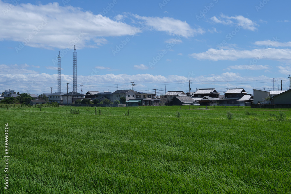 view of Japan country side